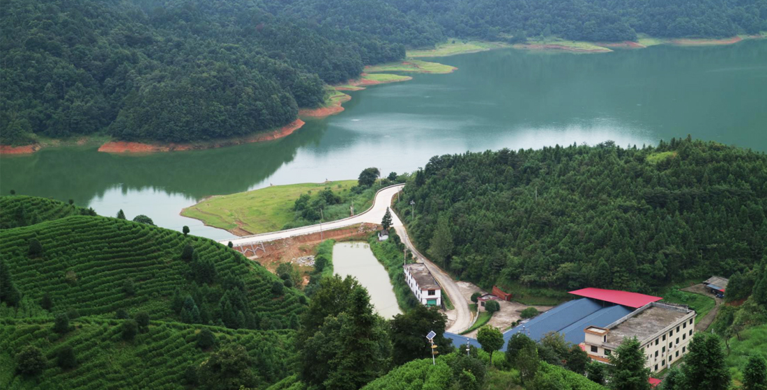 軍峰山茶業